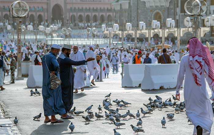 saudi arabia strategic plans to safeguard food security for pilgrims