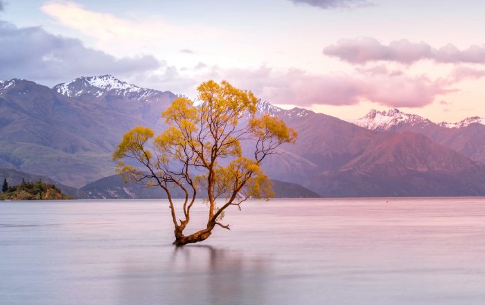 Article Image for Eco-Tourism Initiatives in Costa Rica and New Zealand