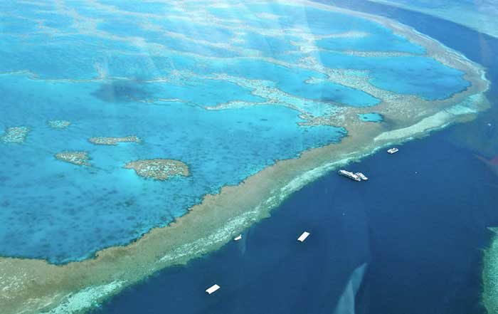 Global Conservation Efforts Success Stories