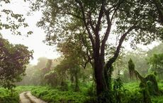 How Community Led Conservation Is Reviving Threatened Ecosystems