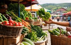 Article Image for How Street Markets Support Regional Food Economies