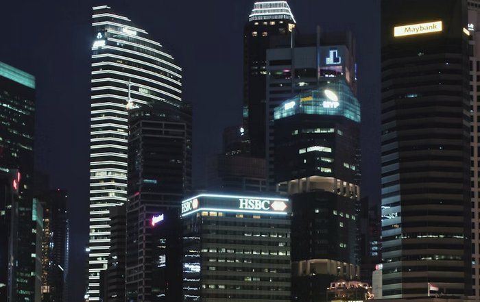 Article Image for International Business Strategies for a Digital Economy