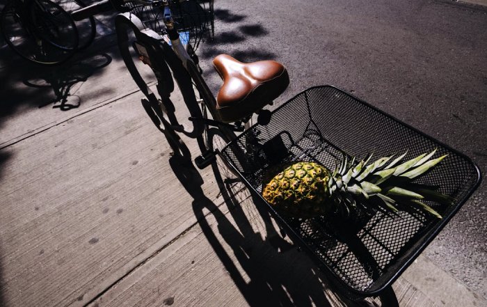 Article Image for Lifestyle Choices That Are Changing Urban Communities