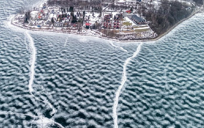 Article Image for Marine Permaculture and Carbon Sequestration