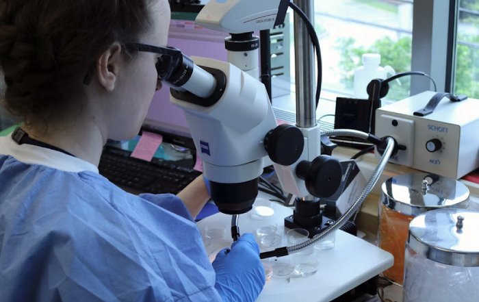 Article Image for Medical Research Advancements with Worldwide Impact