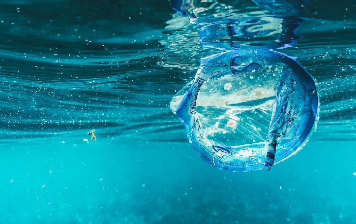 Article Image for Protecting Ocean Health Worldwide