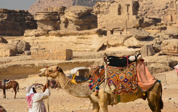 Article Image for Rediscovering Ancient Cities in the Middle East