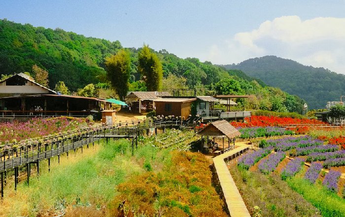 Article Image for Revitalizing Rural Communities Through Tourism