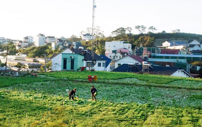Article Image for Stories of Hope: Local Heroes Transforming Urban Sustainability