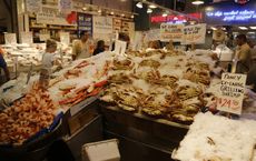 Article Image for Sustainable Seafood Initiatives in North America