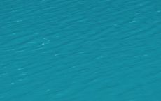 Article Image for The Future of Ocean Exploration
