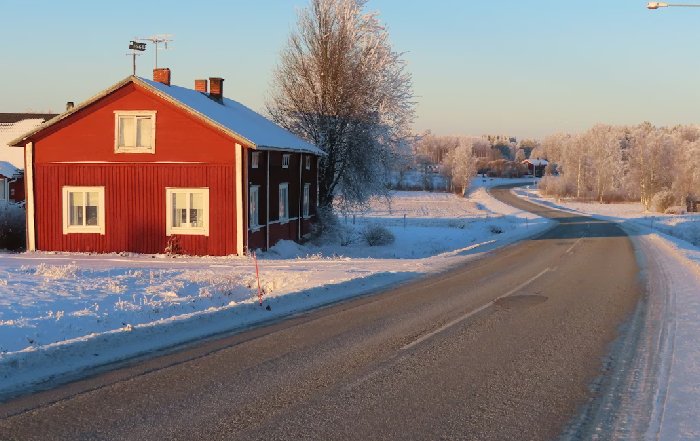 Article Image for The Future of Sustainable Business in Scandinavia