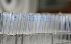 Article Image for The Global Search for Alternative Proteins