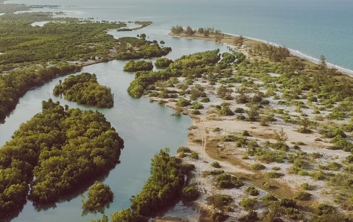 Article Image for The Politics of Climate Change in Island Nations