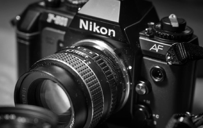 Article Image for The Resurgence of Analog Photography