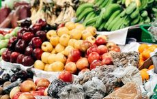Article Image for Urban Farming Solutions for Food Security