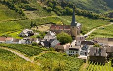 Article Image for Wine Regions Redefining Sustainability