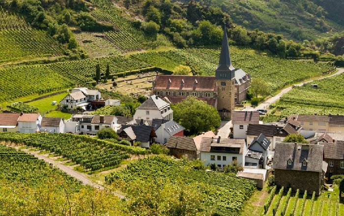 Article Image for Wine Regions Redefining Sustainability